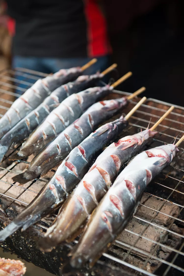 Whole grilled Nigerian catfish served with pepper sauce